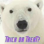 Churchill, Manitoba Halloween – Polar Bears and Trick or Treaters